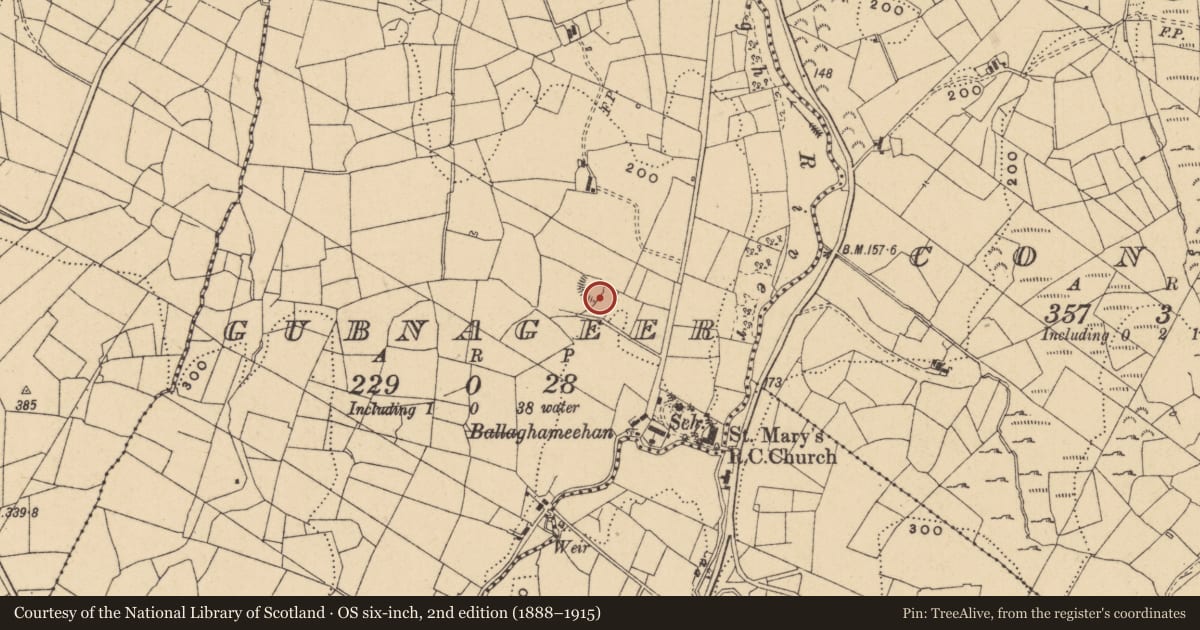 Ordnance Survey six-inch map, 2nd edition (1888–1915) covering the location of Ringfort - unclassified, Gubnageer, County Leitrim, with a pin at the register's coordinates