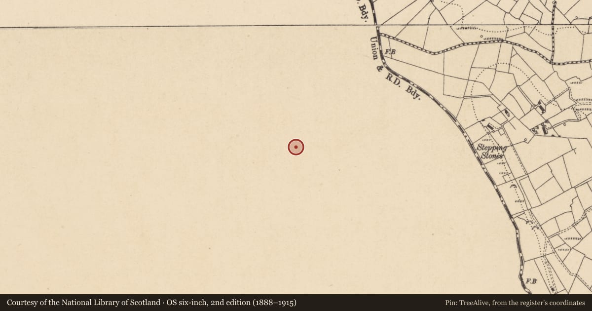 Ordnance Survey six-inch map, 2nd edition (1888–1915) covering the location of Linear earthwork, Gubmanus, County Leitrim, with a pin at the register's coordinates