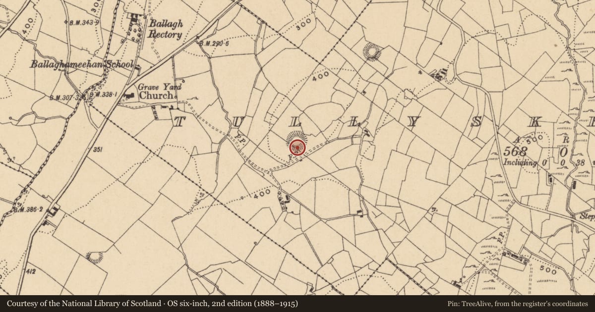 Ordnance Survey six-inch map, 2nd edition (1888–1915) covering the location of Ringfort - rath, Tullyskeherny, County Leitrim, with a pin at the register's coordinates