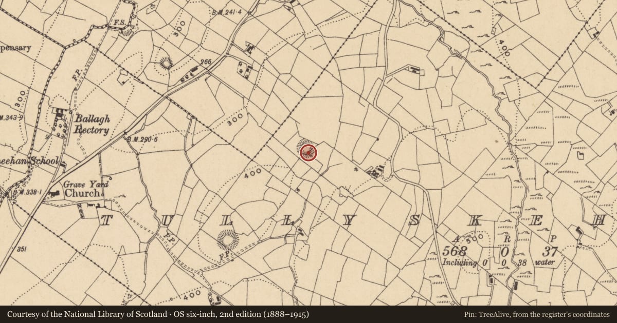 Ordnance Survey six-inch map, 2nd edition (1888–1915) covering the location of Ringfort - rath, Tullyskeherny, County Leitrim, with a pin at the register's coordinates