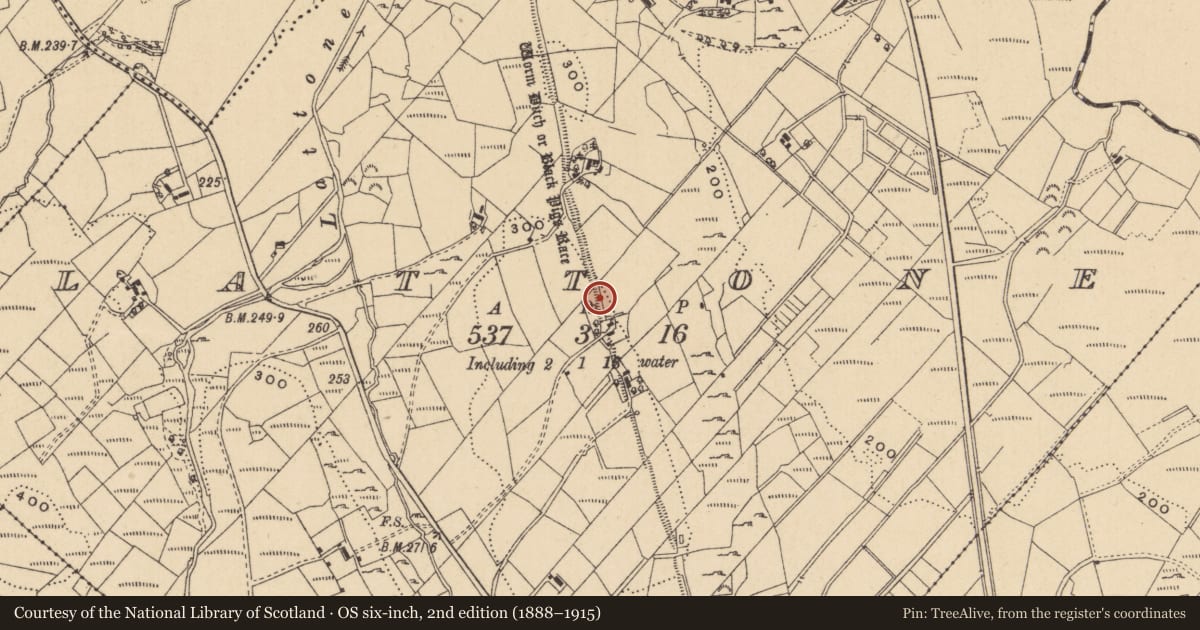 Ordnance Survey six-inch map, 2nd edition (1888–1915) covering the location of Linear earthwork, Lattone, Gortnaderrary, County Leitrim, with a pin at the register's coordinates