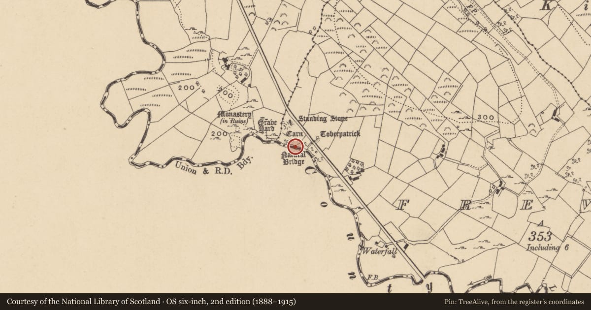 Ordnance Survey six-inch map, 2nd edition (1888–1915) covering the location of Bridge, Gortnaderrary, County Leitrim, with a pin at the register's coordinates