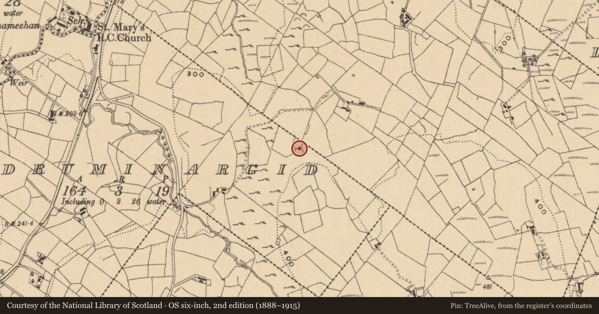 Ordnance Survey six-inch map, 2nd edition (1888–1915) covering the location of Ringfort - cashel, Druminargid, County Leitrim, with a pin at the register's coordinates