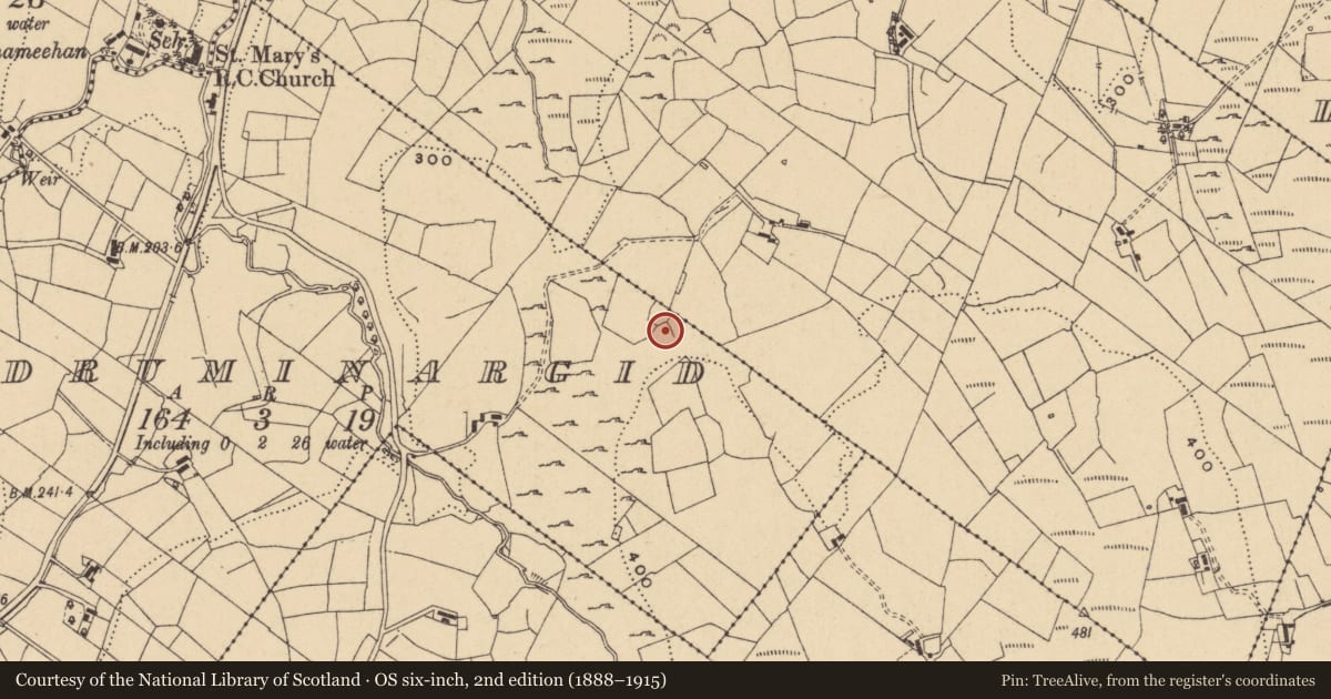 Ordnance Survey six-inch map, 2nd edition (1888–1915) covering the location of Children's burial ground, Druminargid, County Leitrim, with a pin at the register's coordinates
