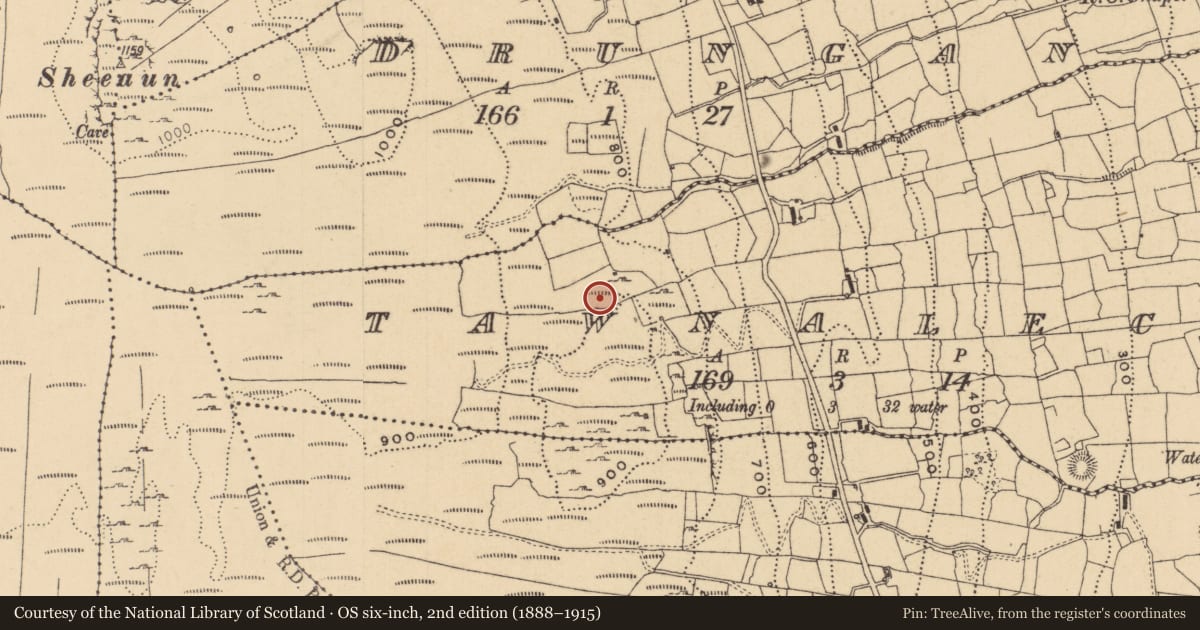 Ordnance Survey six-inch map, 2nd edition (1888–1915) covering the location of Sweathouse, Tawnaleck, County Leitrim, with a pin at the register's coordinates