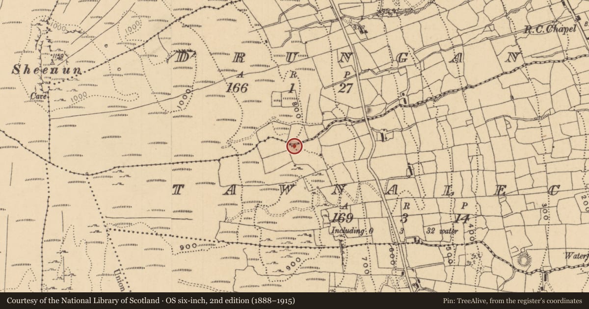 Ordnance Survey six-inch map, 2nd edition (1888–1915) covering the location of Sweathouse, Drungan, County Leitrim, with a pin at the register's coordinates