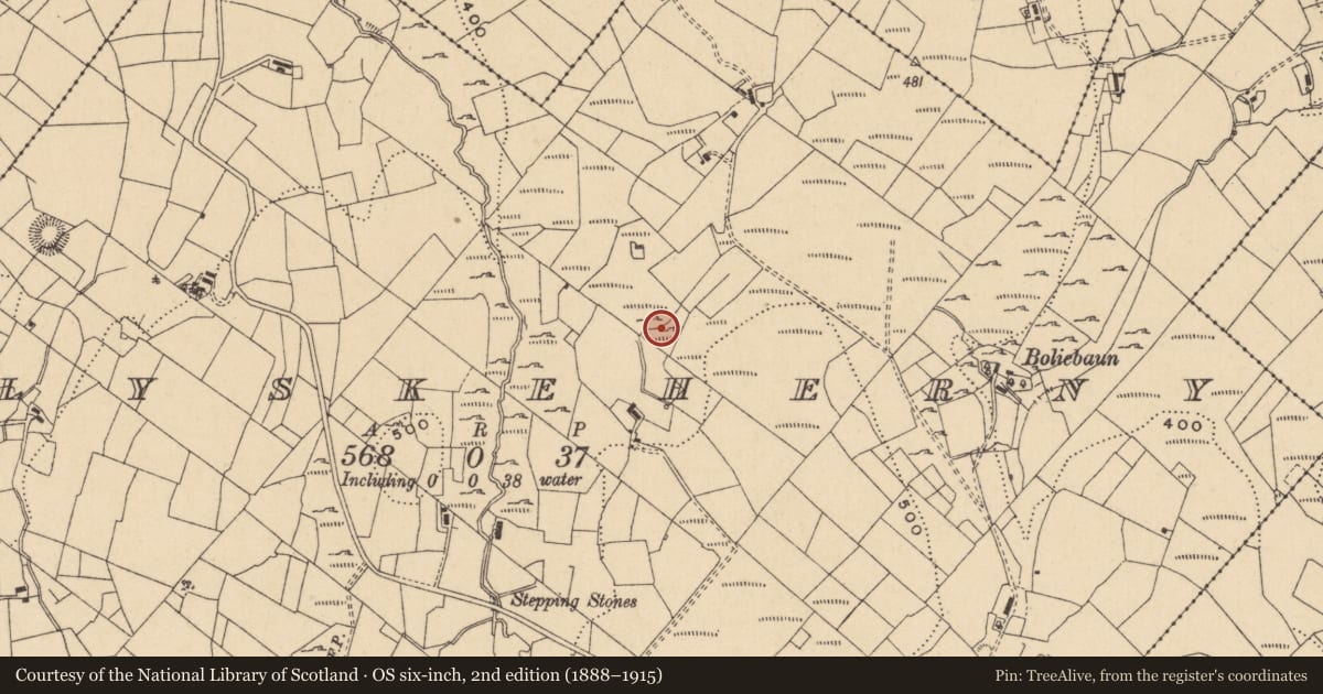 Ordnance Survey six-inch map, 2nd edition (1888–1915) covering the location of Megalithic tomb - court tomb, Tullyskeherny, County Leitrim, with a pin at the register's coordinates