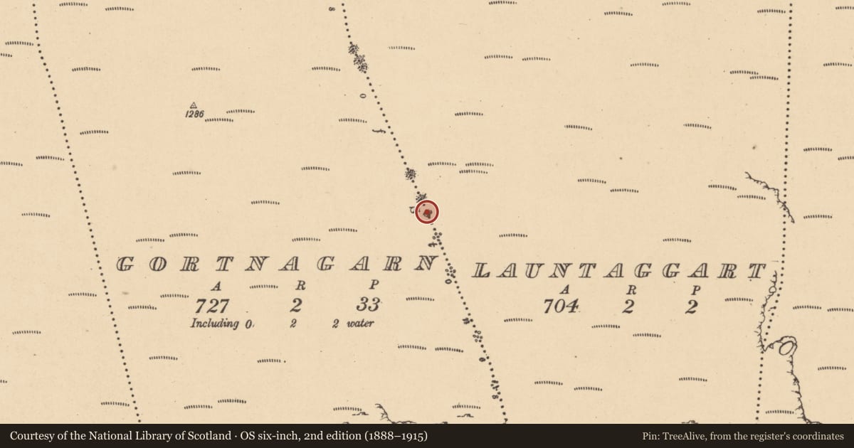 Ordnance Survey six-inch map, 2nd edition (1888–1915) covering the location of Cairn - boundary cairn, Gortnagarn, Launtaggart, County Leitrim, with a pin at the register's coordinates