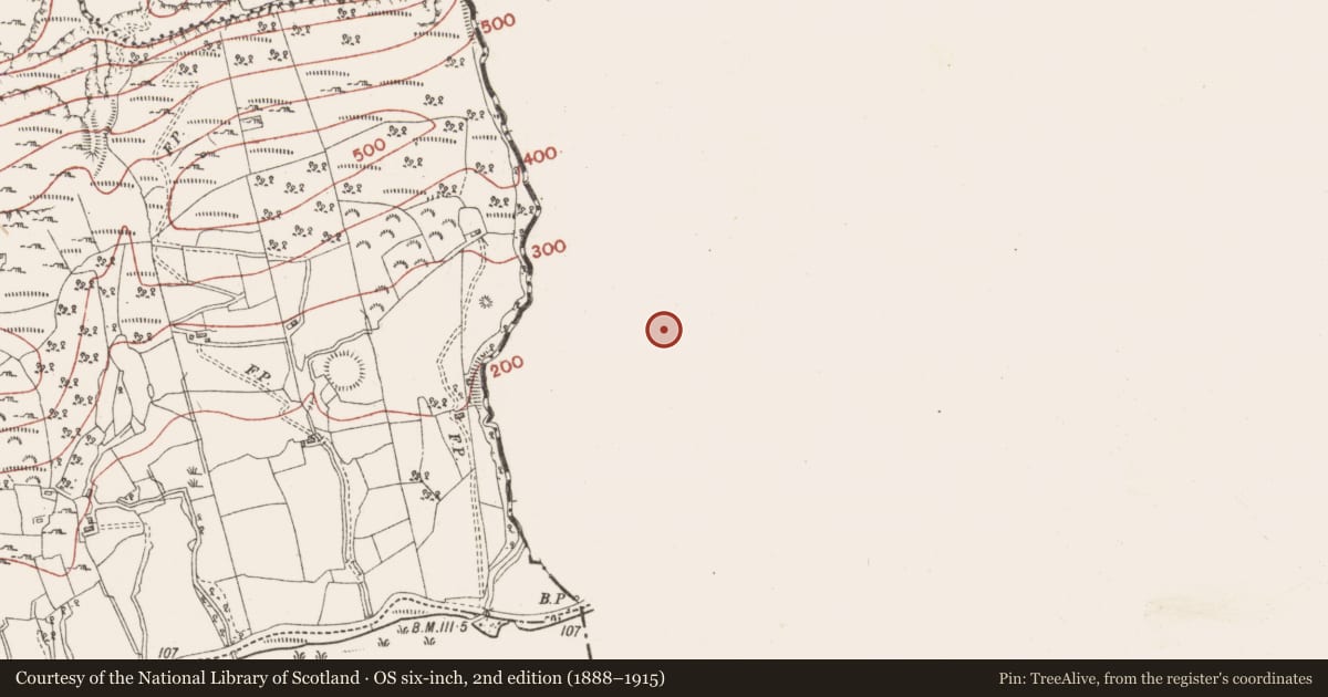 Ordnance Survey six-inch map, 2nd edition (1888–1915) covering the location of Ringfort - rath, Treanakillew, County Leitrim, with a pin at the register's coordinates