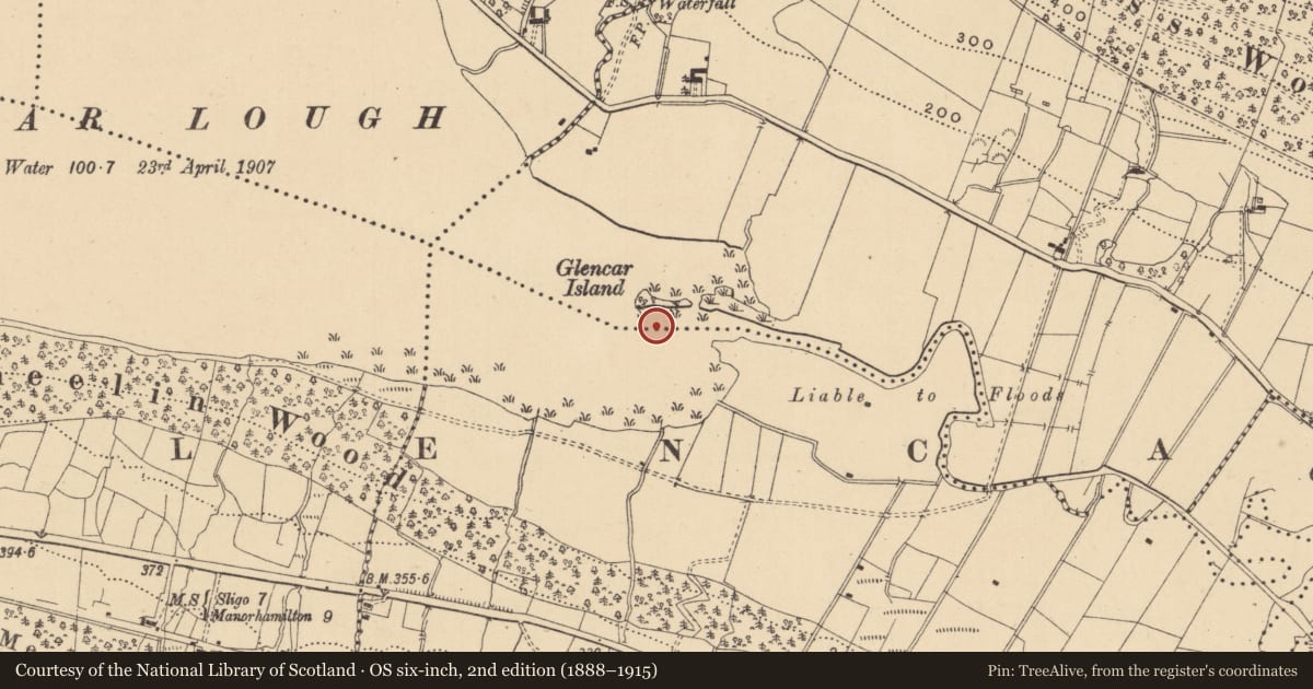 Ordnance Survey six-inch map, 2nd edition (1888–1915) covering the location of Crannog, Formoyle, County Leitrim, with a pin at the register's coordinates