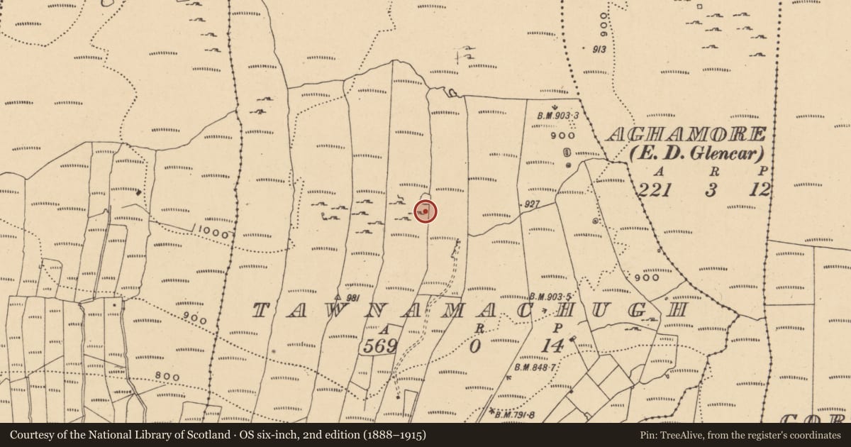 Ordnance Survey six-inch map, 2nd edition (1888–1915) covering the location of Enclosure, Tawnamachugh, County Leitrim, with a pin at the register's coordinates