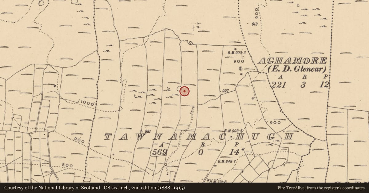 Ordnance Survey six-inch map, 2nd edition (1888–1915) covering the location of Enclosure, Tawnamachugh, County Leitrim, with a pin at the register's coordinates
