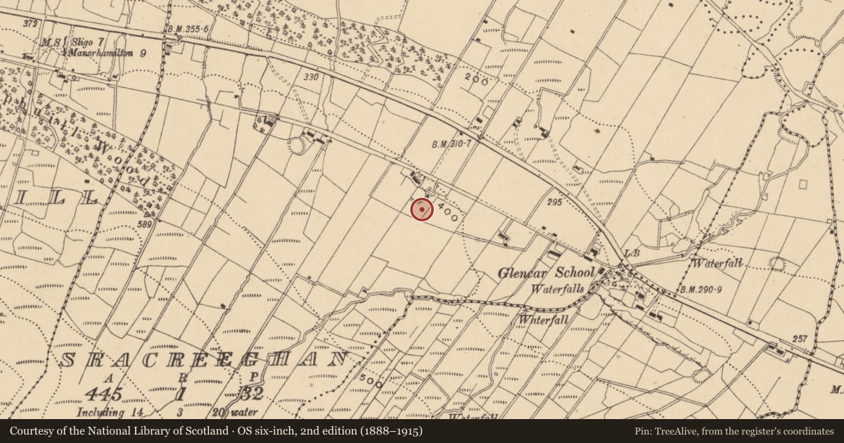 Ordnance Survey six-inch map, 2nd edition (1888–1915) covering the location of Ringfort - rath, Sracreeghan, County Leitrim, with a pin at the register's coordinates