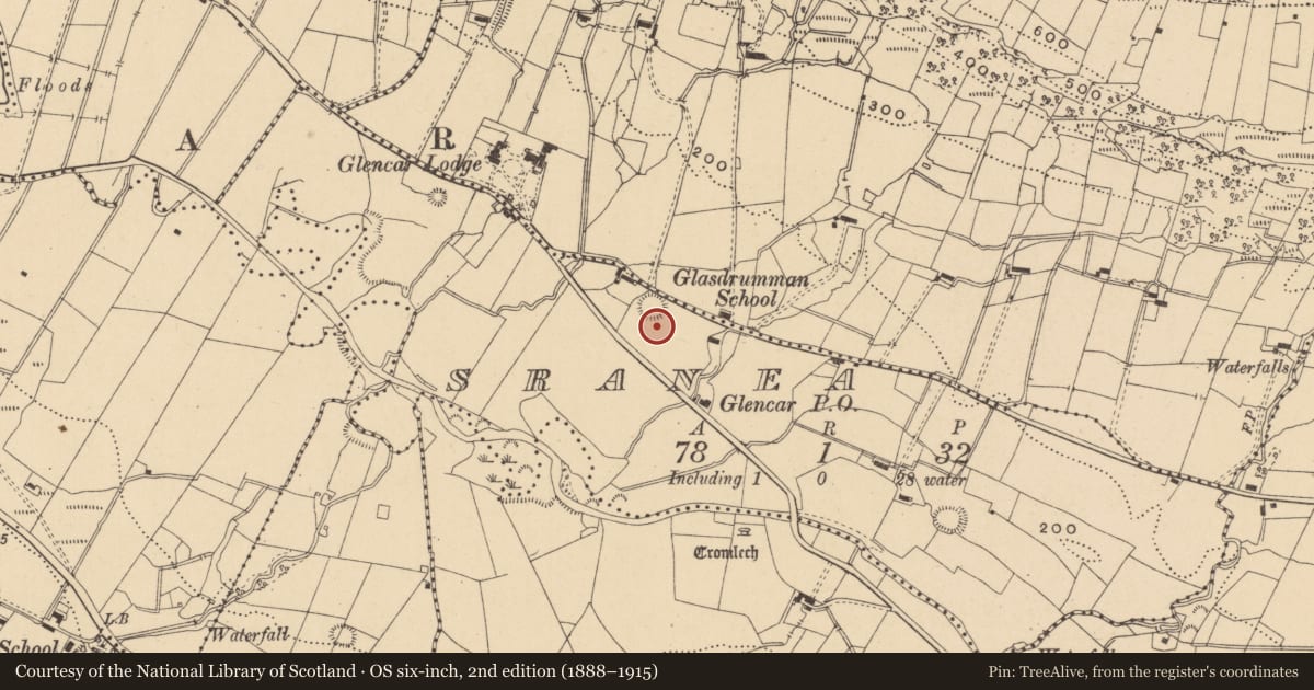 Ordnance Survey six-inch map, 2nd edition (1888–1915) covering the location of Ringfort - rath, Sranea, County Leitrim, with a pin at the register's coordinates