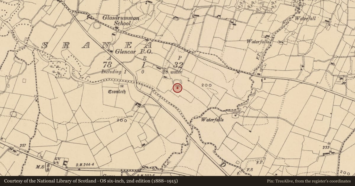 Ordnance Survey six-inch map, 2nd edition (1888–1915) covering the location of Ringfort - rath, Sranea, County Leitrim, with a pin at the register's coordinates