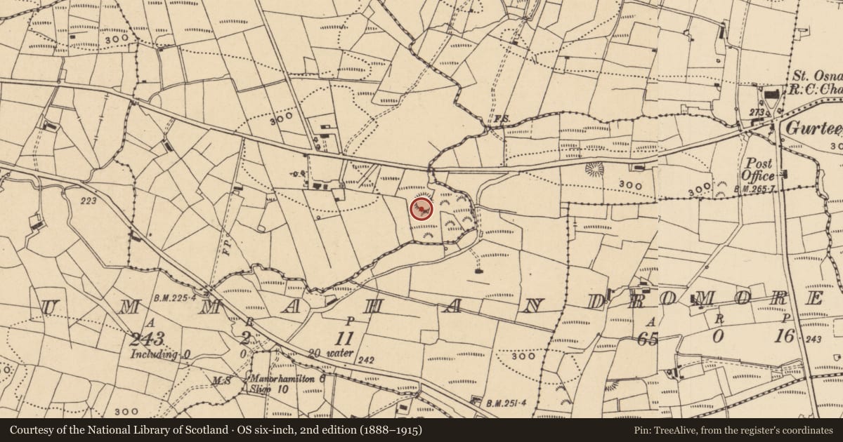 Ordnance Survey six-inch map, 2nd edition (1888–1915) covering the location of Ringfort - rath, Tawnamachugh, County Leitrim, with a pin at the register's coordinates
