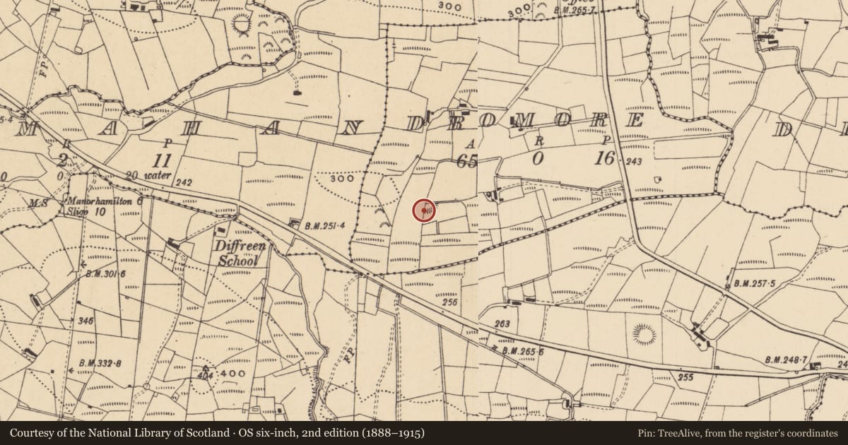 Ordnance Survey six-inch map, 2nd edition (1888–1915) covering the location of Ringfort - rath, Dromore, County Leitrim, with a pin at the register's coordinates