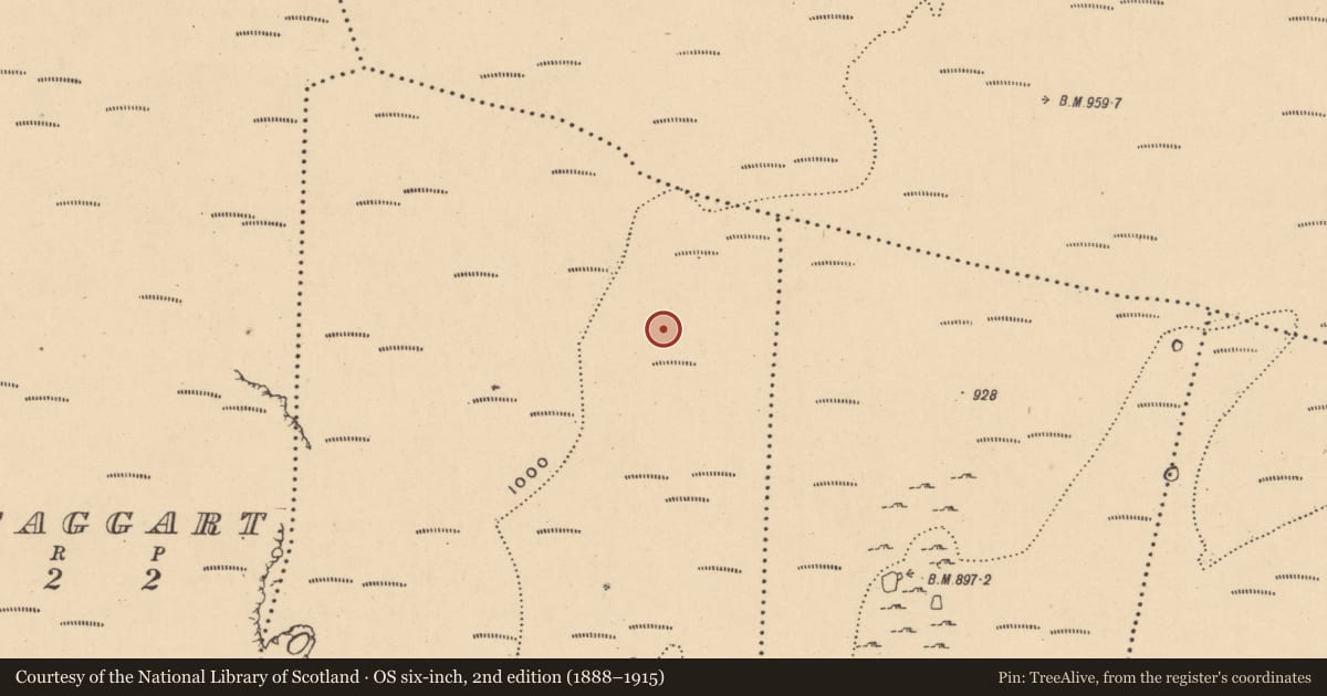 Ordnance Survey six-inch map, 2nd edition (1888–1915) covering the location of Megalithic tomb - portal tomb, Tawnamachugh, County Leitrim, with a pin at the register's coordinates