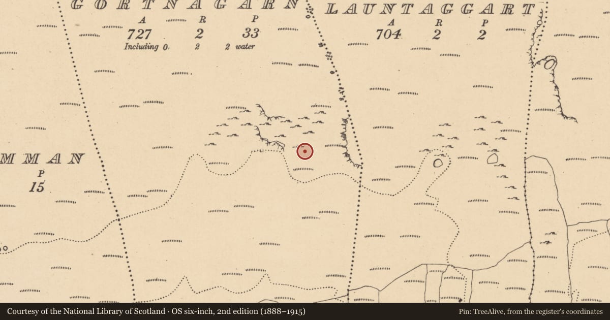 Ordnance Survey six-inch map, 2nd edition (1888–1915) covering the location of Enclosure, Gortnagarn, County Leitrim, with a pin at the register's coordinates