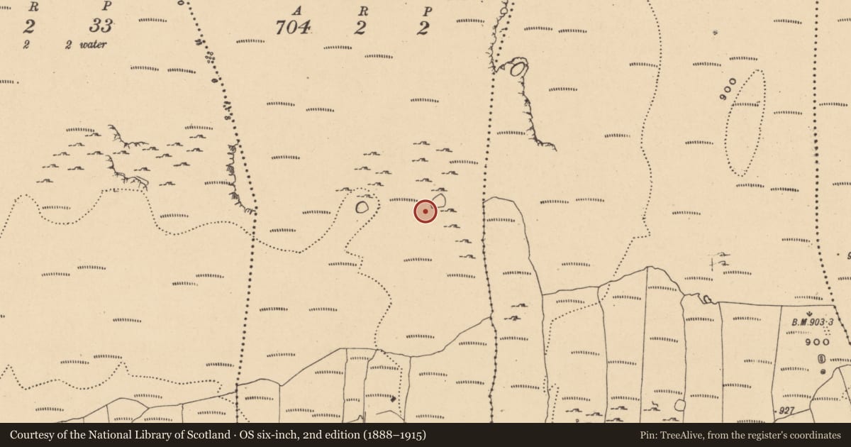 Ordnance Survey six-inch map, 2nd edition (1888–1915) covering the location of Enclosure, Launtaggart, County Leitrim, with a pin at the register's coordinates