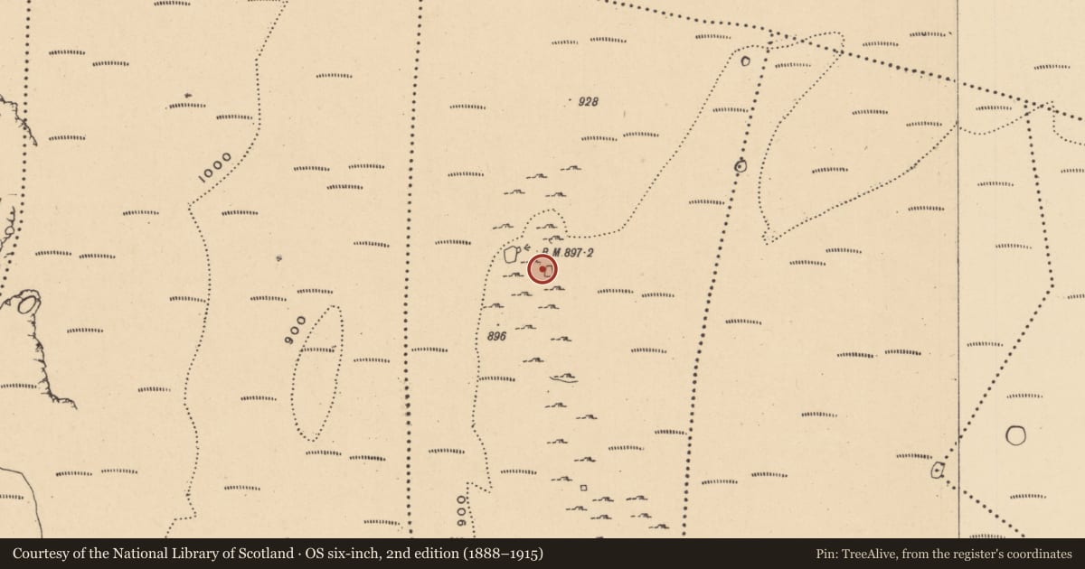 Ordnance Survey six-inch map, 2nd edition (1888–1915) covering the location of Sheepfold, Aghamore, County Leitrim, with a pin at the register's coordinates