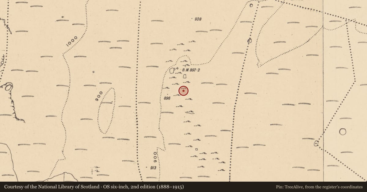Ordnance Survey six-inch map, 2nd edition (1888–1915) covering the location of Field boundary, Aghamore, County Leitrim, with a pin at the register's coordinates
