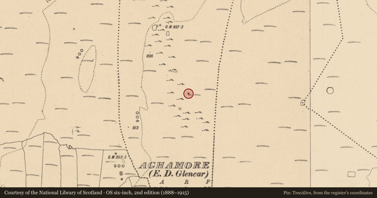Ordnance Survey six-inch map, 2nd edition (1888–1915) covering the location of Enclosure, Aghamore, County Leitrim, with a pin at the register's coordinates