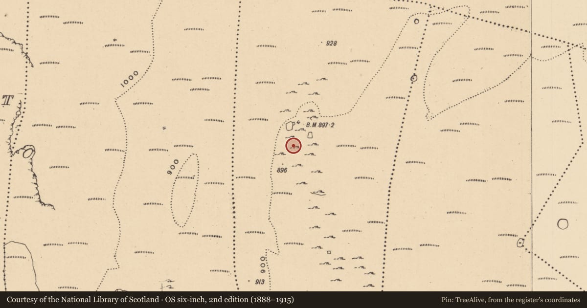 Ordnance Survey six-inch map, 2nd edition (1888–1915) covering the location of Hut site, Aghamore, County Leitrim, with a pin at the register's coordinates
