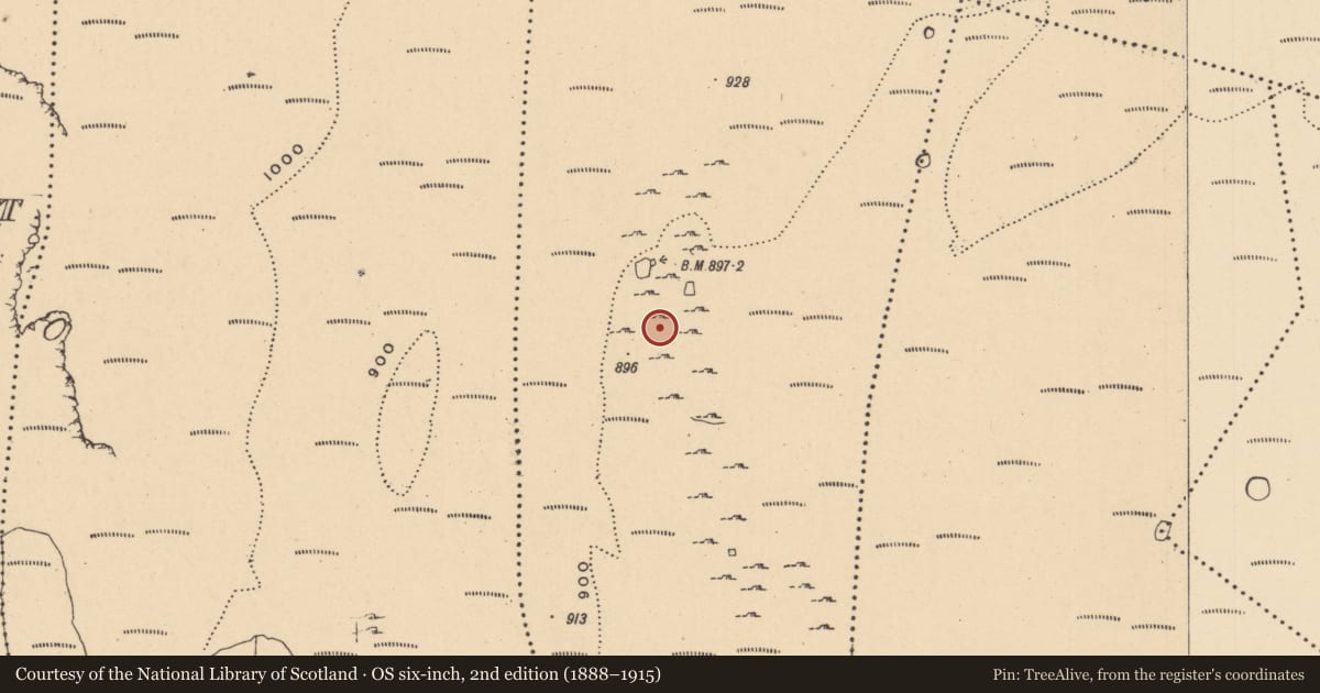 Ordnance Survey six-inch map, 2nd edition (1888–1915) covering the location of Hut site, Aghamore, County Leitrim, with a pin at the register's coordinates