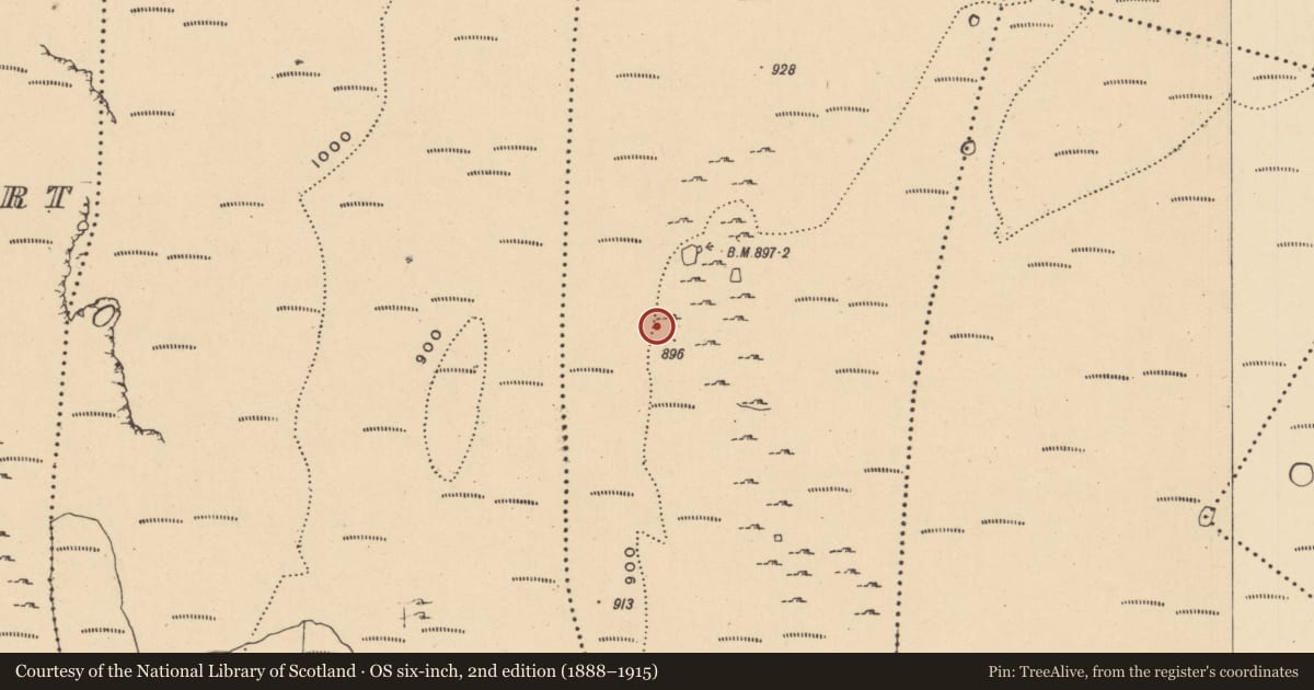 Ordnance Survey six-inch map, 2nd edition (1888–1915) covering the location of Hut site, Aghamore, County Leitrim, with a pin at the register's coordinates