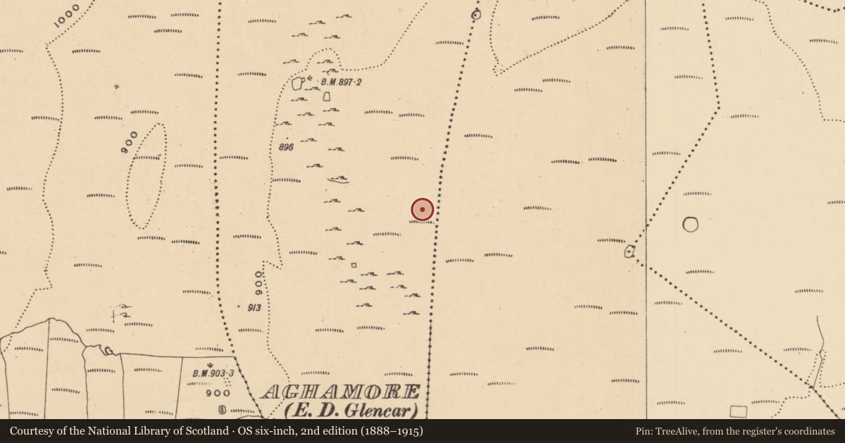 Ordnance Survey six-inch map, 2nd edition (1888–1915) covering the location of Hut site, Aghamore, County Leitrim, with a pin at the register's coordinates