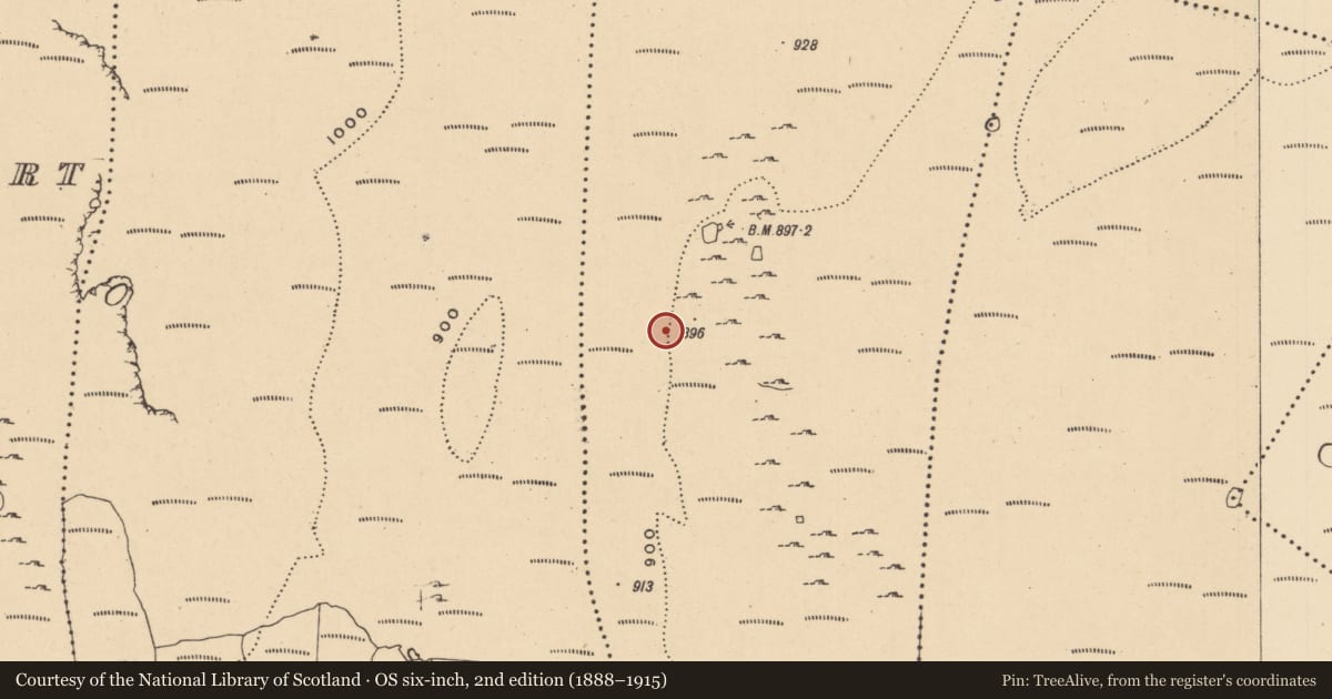 Ordnance Survey six-inch map, 2nd edition (1888–1915) covering the location of Megalithic tomb - wedge tomb, Aghamore, County Leitrim, with a pin at the register's coordinates