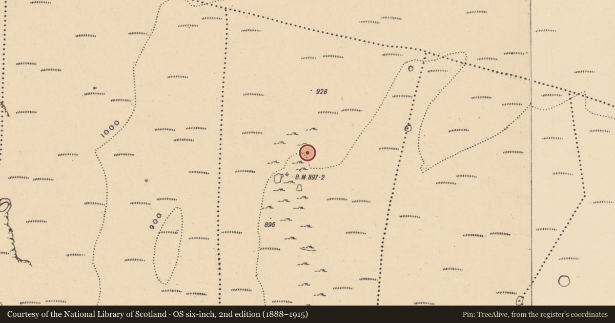 Ordnance Survey six-inch map, 2nd edition (1888–1915) covering the location of Cairn - unclassified, Aghamore, County Leitrim, with a pin at the register's coordinates