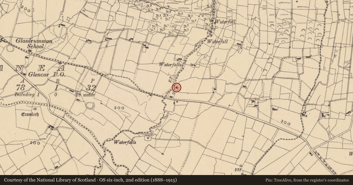 Ordnance Survey six-inch map, 2nd edition (1888–1915) covering the location of Penal Mass station, Gortnagarn, County Leitrim, with a pin at the register's coordinates