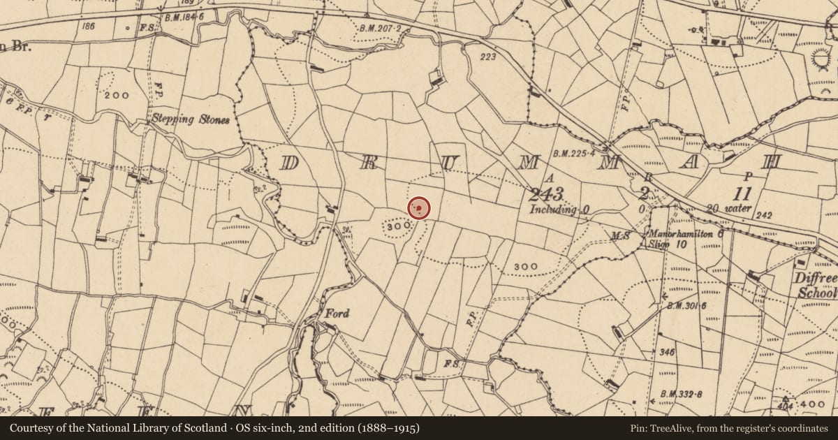 Ordnance Survey six-inch map, 2nd edition (1888–1915) covering the location of Ringfort - rath, Drummahan, County Leitrim, with a pin at the register's coordinates