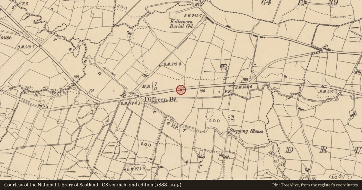 Ordnance Survey six-inch map, 2nd edition (1888–1915) covering the location of Ringfort - rath, Diffreen, County Leitrim, with a pin at the register's coordinates