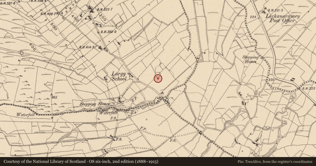 Ordnance Survey six-inch map, 2nd edition (1888–1915) covering the location of Ringfort - rath, Largy, County Leitrim, with a pin at the register's coordinates