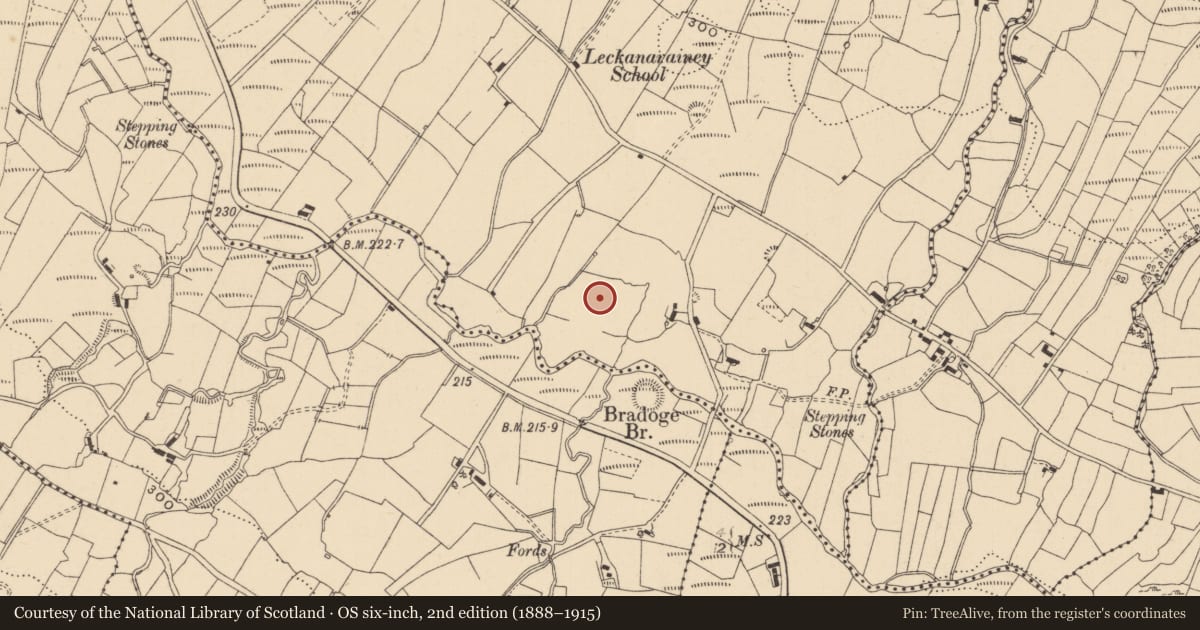 Ordnance Survey six-inch map, 2nd edition (1888–1915) covering the location of Ringfort - rath, Leckanarainey, County Leitrim, with a pin at the register's coordinates