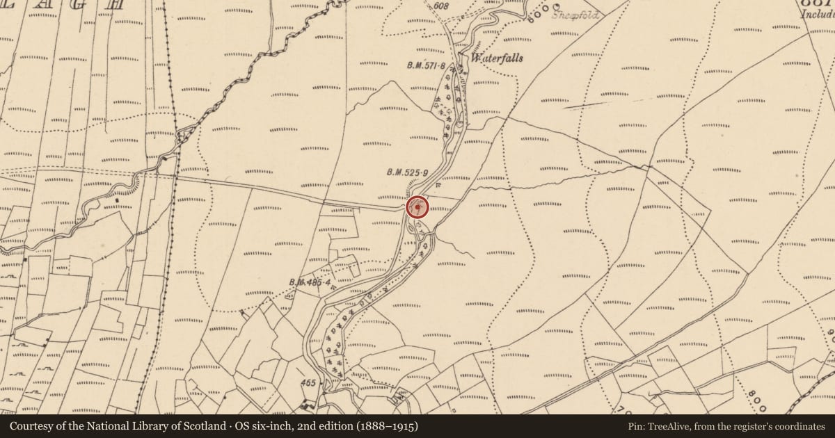 Ordnance Survey six-inch map, 2nd edition (1888–1915) covering the location of Ringfort - unclassified, Fallacarra, County Leitrim, with a pin at the register's coordinates
