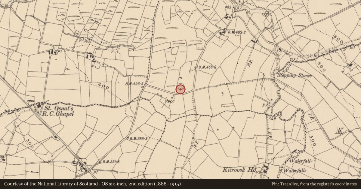 Ordnance Survey six-inch map, 2nd edition (1888–1915) covering the location of Ringfort - rath, Fallacarra, County Leitrim, with a pin at the register's coordinates