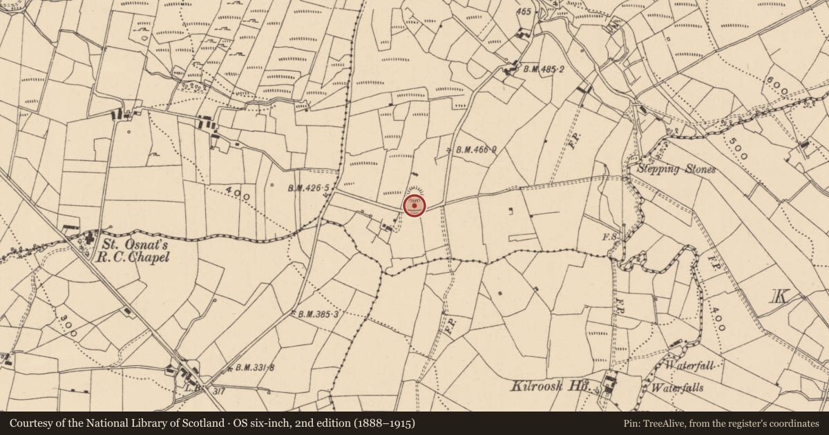 Ordnance Survey six-inch map, 2nd edition (1888–1915) covering the location of Souterrain, Fallacarra, County Leitrim, with a pin at the register's coordinates
