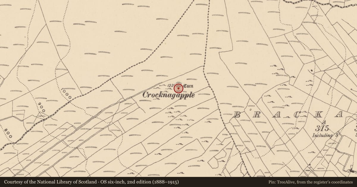 Ordnance Survey six-inch map, 2nd edition (1888–1915) covering the location of Cairn - ring-cairn, Kilroosk, County Leitrim, with a pin at the register's coordinates