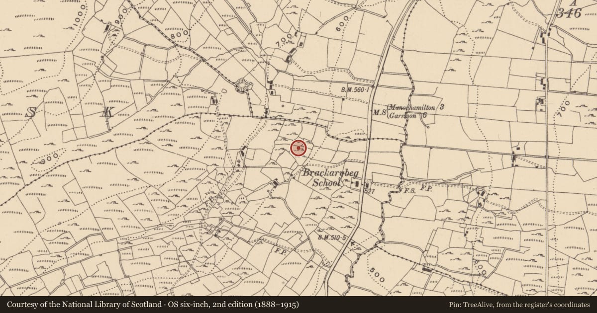 Ordnance Survey six-inch map, 2nd edition (1888–1915) covering the location of Ringfort - cashel, Brackary Beg, County Leitrim, with a pin at the register's coordinates