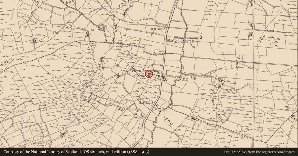 Ordnance Survey six-inch map, 2nd edition (1888–1915) covering the location of Enclosure, Brackary Beg, County Leitrim, with a pin at the register's coordinates
