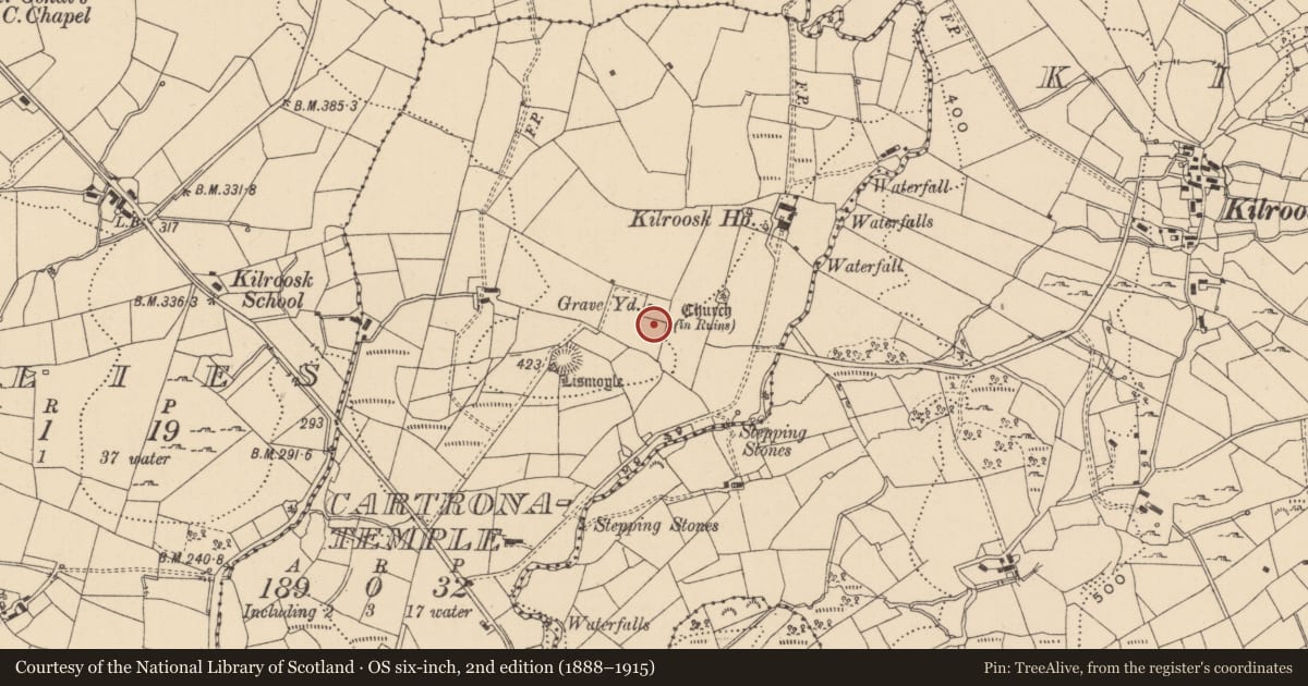 Ordnance Survey six-inch map, 2nd edition (1888–1915) covering the location of Graveslab, Cartronatemple, County Leitrim, with a pin at the register's coordinates