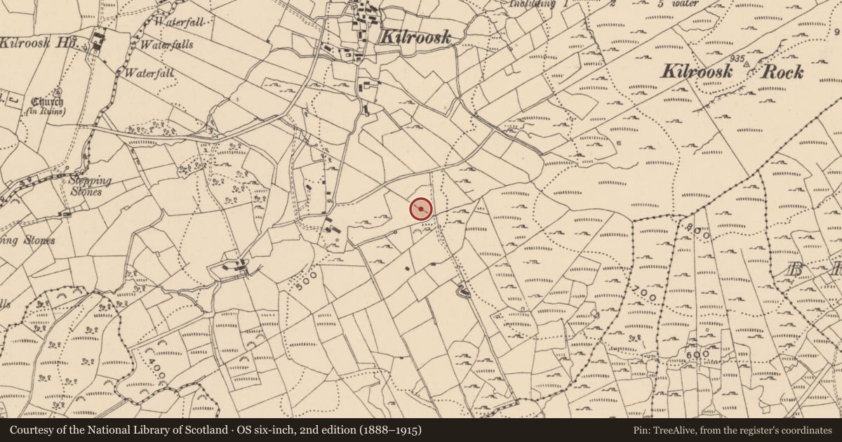 Ordnance Survey six-inch map, 2nd edition (1888–1915) covering the location of Souterrain, Kilroosk, County Leitrim, with a pin at the register's coordinates