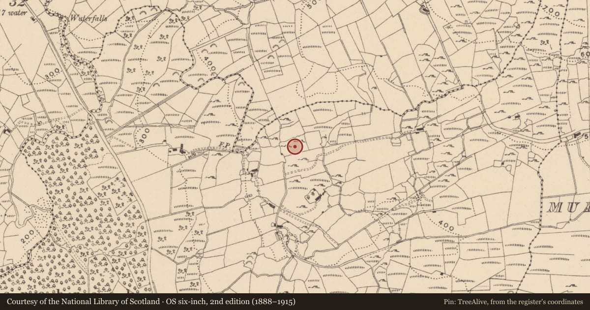 Ordnance Survey six-inch map, 2nd edition (1888–1915) covering the location of Ringfort - rath, Lisnabrack, County Leitrim, with a pin at the register's coordinates
