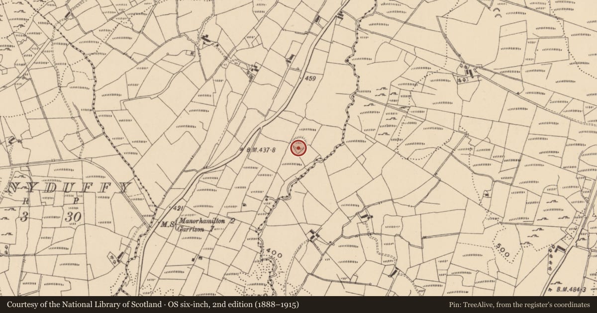 Ordnance Survey six-inch map, 2nd edition (1888–1915) covering the location of Ringfort - rath, Brackary Beg, County Leitrim, with a pin at the register's coordinates
