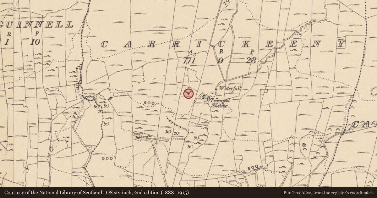 Ordnance Survey six-inch map, 2nd edition (1888–1915) covering the location of Ringfort - rath, Carrickeeny, County Leitrim, with a pin at the register's coordinates