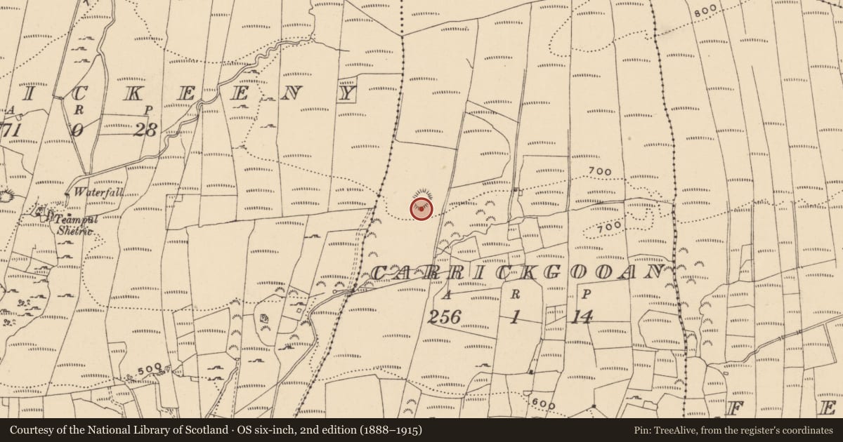 Ordnance Survey six-inch map, 2nd edition (1888–1915) covering the location of Ringfort - rath, Carrickgooan, County Leitrim, with a pin at the register's coordinates